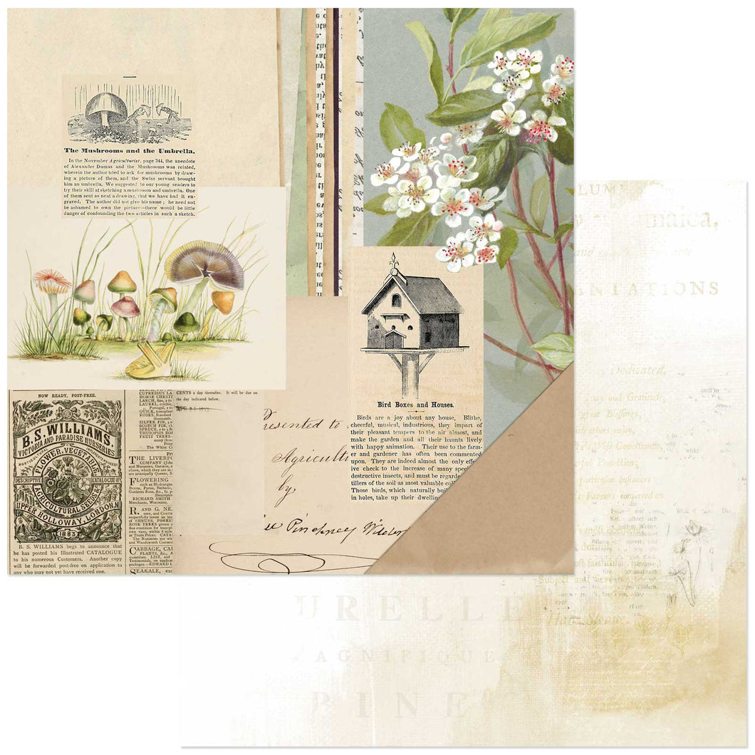 49 and Market Curators Meadow Collection 12x12 Scrapbook Paper Flora ( –  Everything Mixed Media